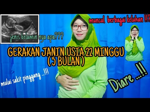 Video: Hamil 22 Minggu: Gejala, Petua Dan Banyak Lagi