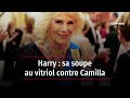 Harry sa soupe au vitriol contre camilla