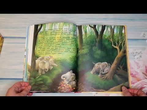 Палома Вензель. Слонёнок Бобо