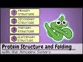 The Importance of Protein Folding in Biological Functions