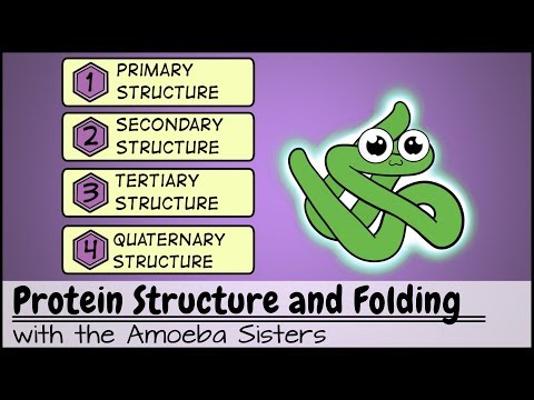 Thumbnail for the embedded element "Protein Structure and Folding"