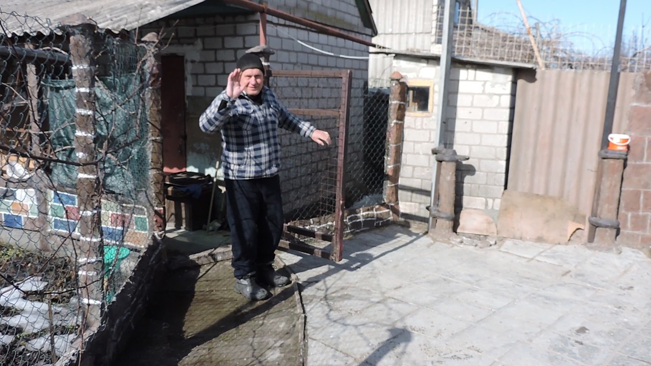 Верхньодніпровські Миколаївські торцові голуби. Ф. 9