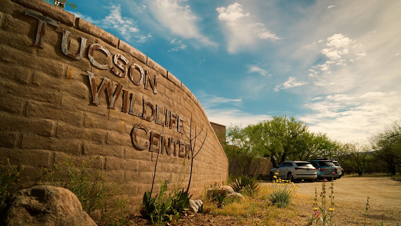 Twep Tucson Wildlife Center | Mrs Green's World - YouTube