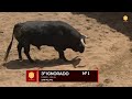 Sorteo toros de San Pelayo en Sevilla para rejones, Domingo 1 de mayo 2022