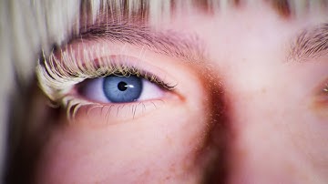 NetVRk Transport NFTs Preview