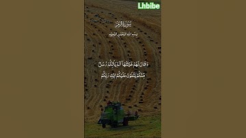 #القرآن الكريم #الجيلي #اكسبلور #العريفي #duet #تيك_توك #دويتو #البخل #راحة_نفسية #لايك #nature