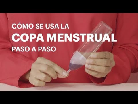 Vídeo: 3 maneres de calcular la durada del cicle menstrual