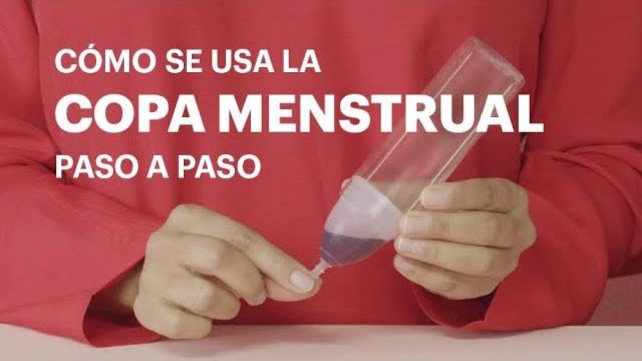 ¿Cómo colocar la copa menstrual?