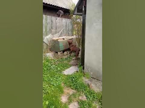 youtube.com