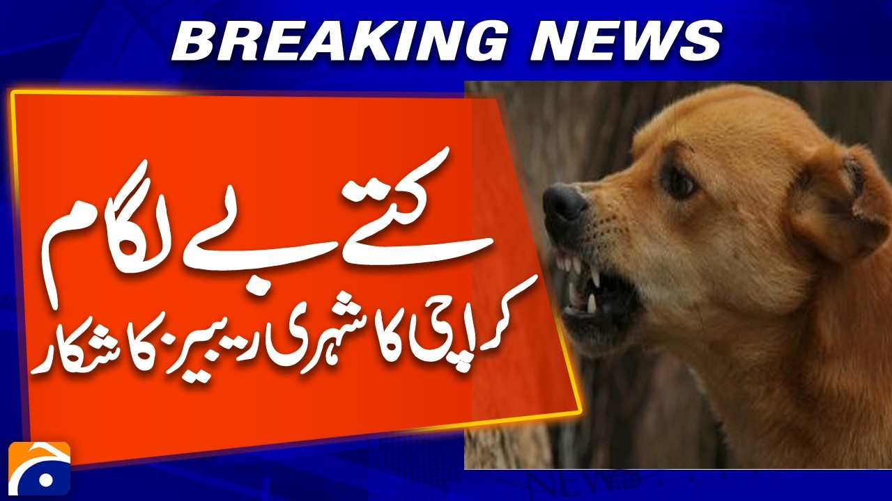 Karachi Citizen Diagnosed with Rabies After Dog Bite | Geo News