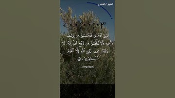سورة يوسف الآية 87 بصوت القارئ الشيخ محمود خليل الحصري رحمة الله #سبحان_الله #المصحف #قرآن