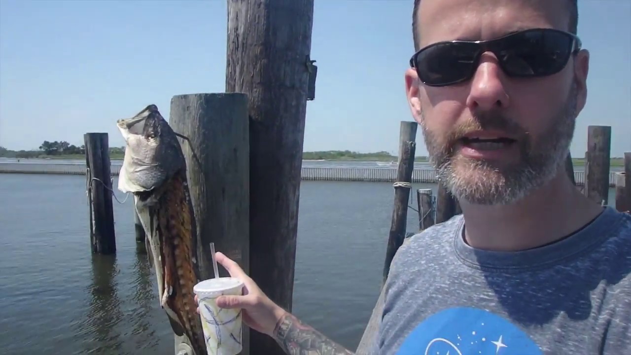 Best Things To Do Near NYC Fun Day At Captree State Park 2017 City best-things-to-do-near-nyc-fun-day-at-captree-state-park-2017-city