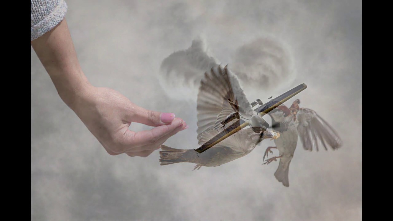 Postcards From New Zealand - Howick Photographic Society