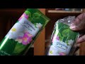 Bath & Body Works | My Body Care Collection Cabinet