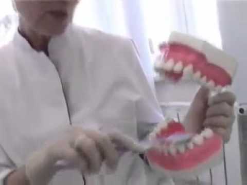 Гигиена полости рта - залог здоровья зубов.