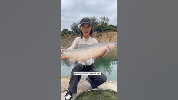 Em gái câu đài hồ dịch vụ câu được toàn cá trắm đen và cái kết #fishing #cauca #short