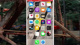iPhone 7 : How to bold a text in the Notes app