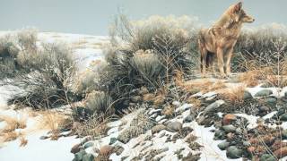 #19 Coyote in Winter Sage by Robert Bateman