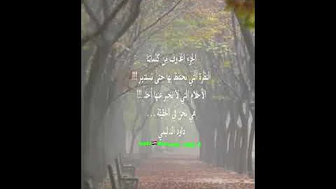 حالات موسيقى جميلة مع طبيعة