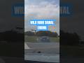 State Troopers Pull Off Insane Maneuver!