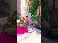 हे शनि देव स्त्रियों को प्रवेश क्यों नहीं देते 🙏🙏#search #viral video#YouTube search#trending video#