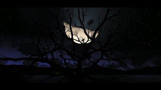 1 Hour of Galactic Dreams: Soothing Night Music & Starry Time-lapses