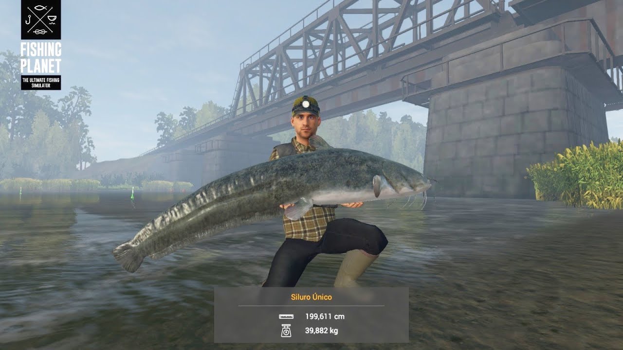 Fishing Bagres GIGANTES en Rusia YouTube