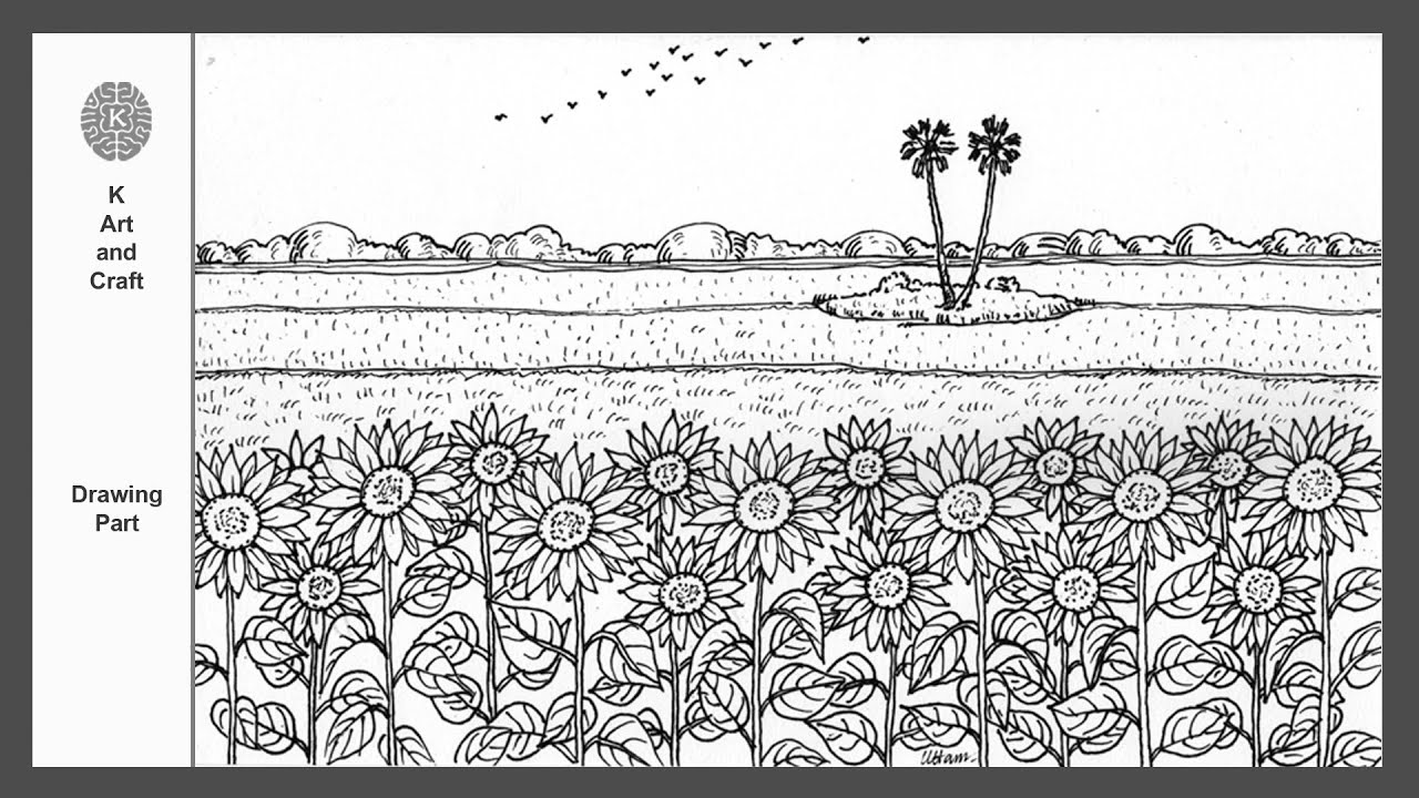 Pen drawing sunflower field/ easy draw landscape with sunflowers for