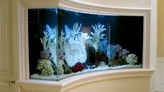 A custom 300+ gallon saltwater aquarium and it