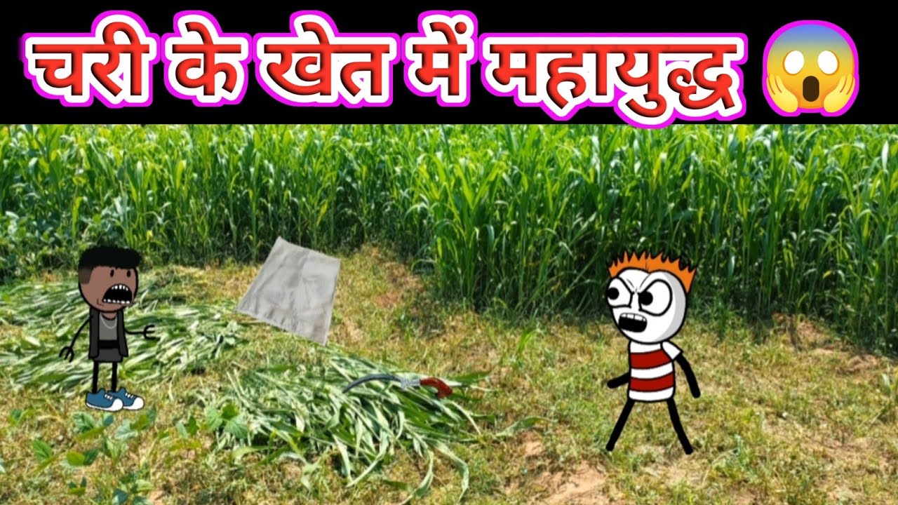 Story Of Gadariya