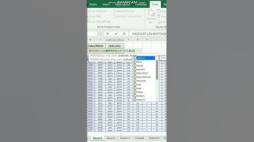 Index and Match function in excel #shorts #excel #excelsolutions #index #dataentry