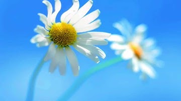 How to jailbreak iOS 8.1.1 using Taig! (windows)