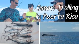 Ocean Trolling in Puerto Rico by The Neals' Homestead 304 views 1 year ago 11 minutes, 52 seconds