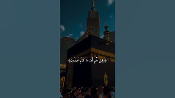 تلاوة جميلة 🎧🥀 #القرآن_الكريم