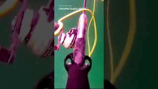 Which one of you legends threw the WHOLE rod in? 😂 #underwaterdrone