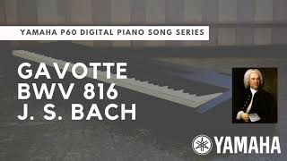 Gavotte BWV 816 | J. S. Bach | Yamaha P60 Digital Piano Song Series