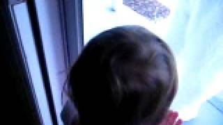easterbunny2010 043.AVI