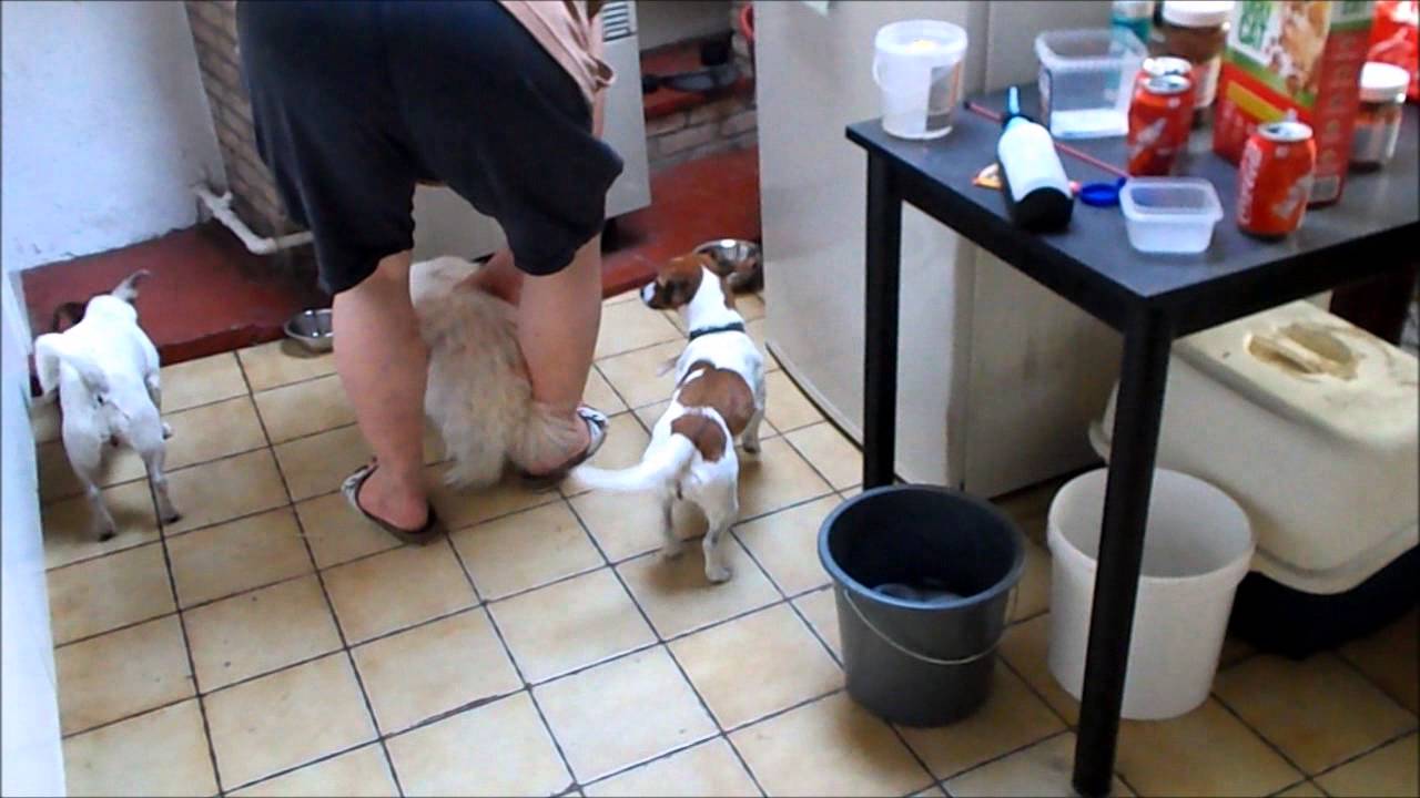 like a prayer 10-06-2014 vlog day 84 cream for itchy ears