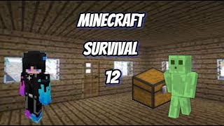 Minecraft Survival, Huishouden.... ft. Elise #12