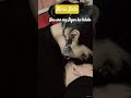 @Taimoorzayan #cutebaby #babyvlog #khilonamotors #songs #betashorts