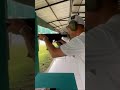My boy Nameless shooting 5” AR-9 9mm pistol CMMG conversion kit 30rd Magpul furniture in Thailand🔥