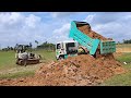 Dump Truck And Bulldozer Working, Dump Truck In Cambodia #Ep2225