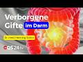 Der Toxin-Faktor: Wie Darmbakterien Dich vergiften können | Naturmedizin | QS24 Gesundheitsfernsehen