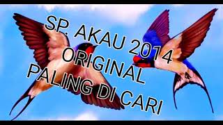 Sp. Akau 2014 Original! 🔥Paling dicari Petani Walet🔥