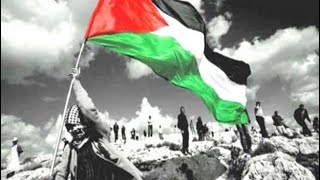 حكومة فلسطين والقضية الفلسطينية - الباب المفتوح