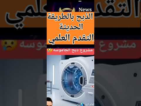 إيه رأيك بقى يا فانوس شايف التقدم العلمي هو ده الشغل    1 