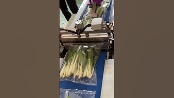 Automatic Vegetables packaging machine/automatic identification of articles length