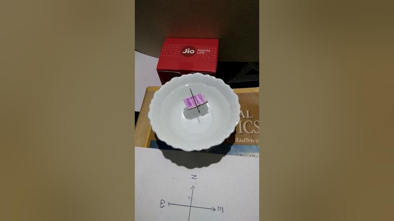 Experiment To make a floating compass YouTube