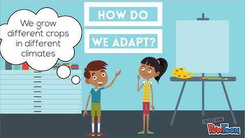 PYP Concepts and Central Ideas