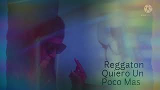 Reggaeton Quiere Un Poco Más Video clip